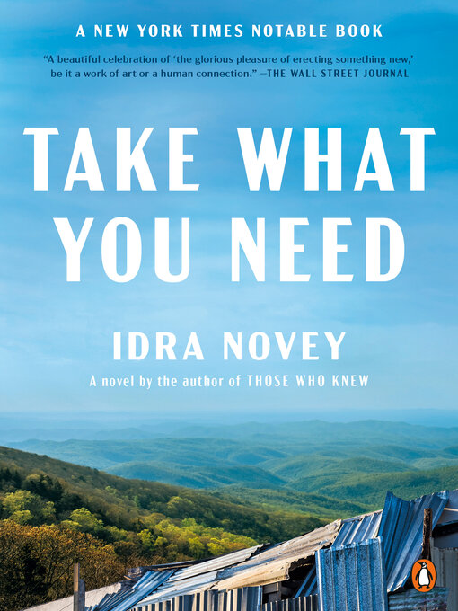 Title details for Take What You Need by Idra Novey - Wait list